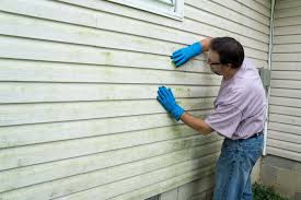 Best Vinyl Siding Installation  in Melrose, MN